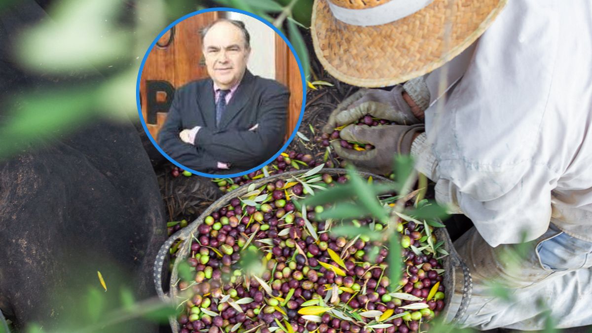 Prezes Dcoop Antonio Luque
