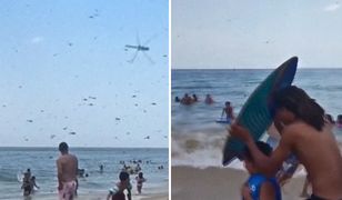 Atak roju owadów na plaży w USA. Nagranie świadka