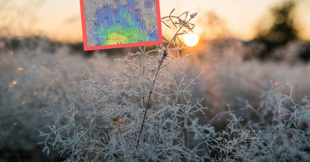 Synoptycy są pewni. Przymrozek i opady śniegu