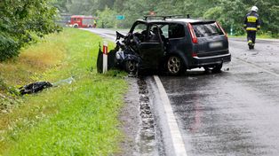 Wypadek w sadzie w gminie Lipsko. 10-letni chłopiec potrącony przez kombajn podczas zbioru wiśni w sadzie. Trafił do szpitala