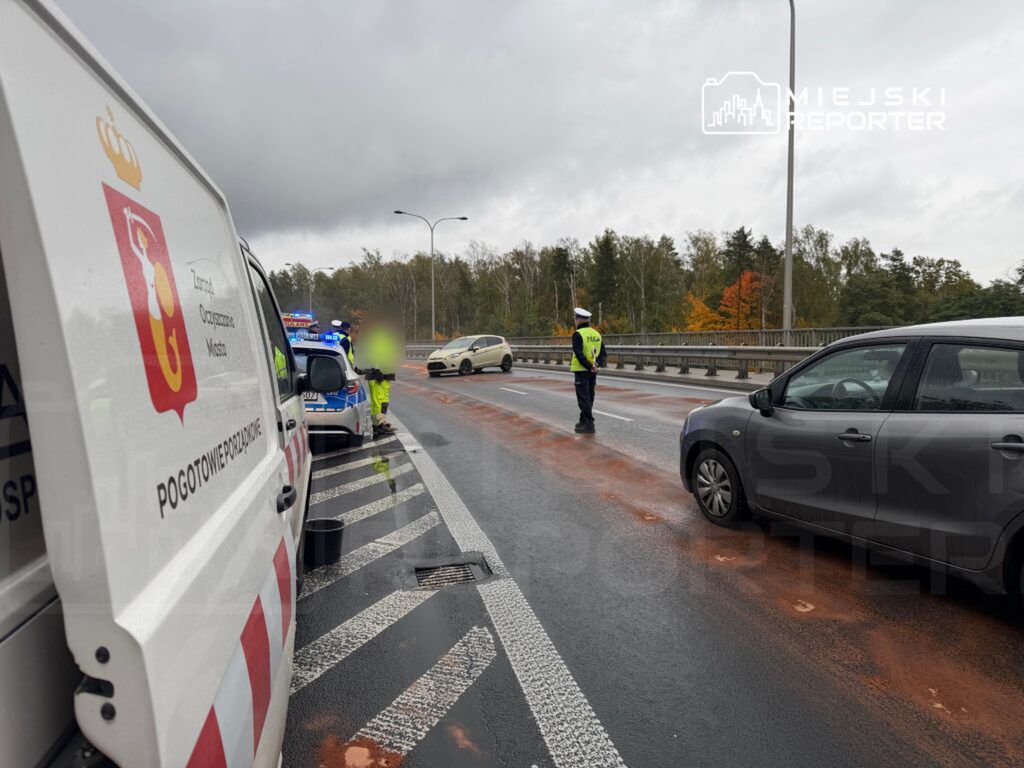 Na drodze stoi policjant kierujący ruchem, obok widoczny radiowóz i pojazd pogotowia. W tle zalesiony teren.