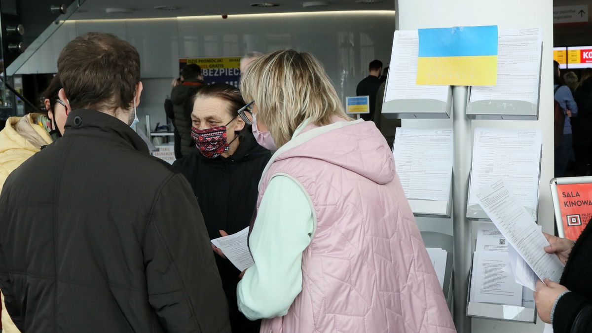 Po wybuchu wojny w Ukrainie uchodźcom przyznano prawo do edukacji, opieki zdrowotnej, pracy i świadczeń. Zdjęcie ilustracyjne