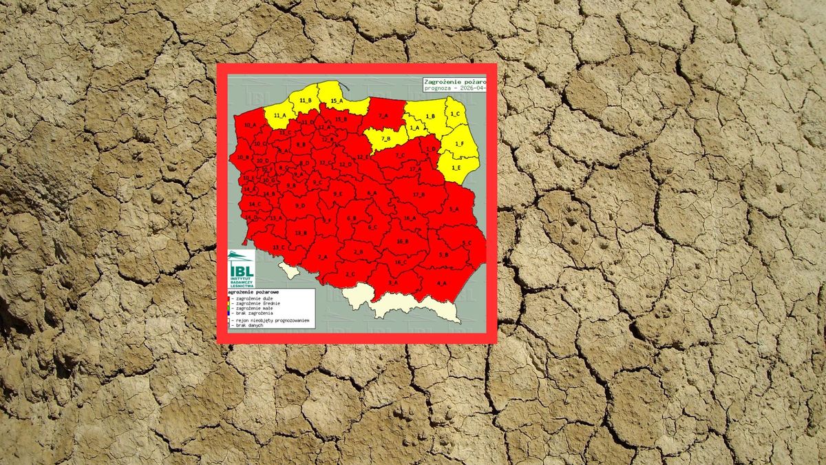 Niemal cała Polska na czerwono. Susza w lasach