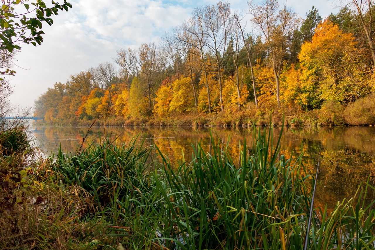 Warszawa: Jutro otwarcie Parku Żerańskiego