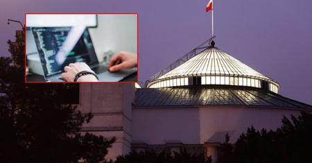 Polska stała się dla nich rajem. Specjaliści z IT wybierają nasz kraj