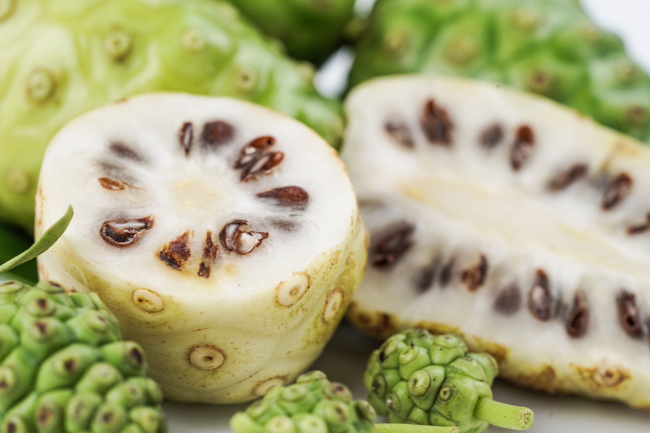 Owoce noni