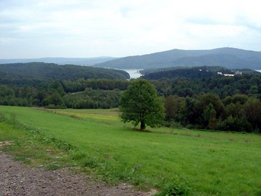 Obraz