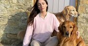 Ma dwa psy. Zarabiają dla niej krocie