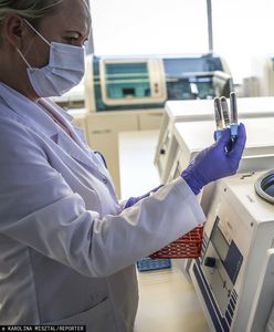 Problemy z testami na koronawirusa na Pomorzu. Ludzie muszą czekać kilka dni