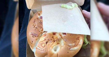 Burger Drwala w McDonald. Ile kosztuje Drwal 2023? [CENA, KALORIE, SKŁADNIKI]