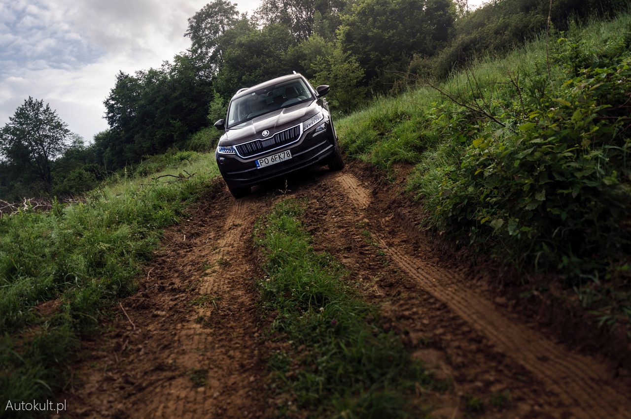 Škodą Kodiaq w błoto: długodystansowy SUV w terenie