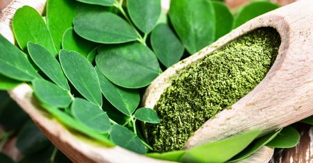 Moringa – z czym to jeść
