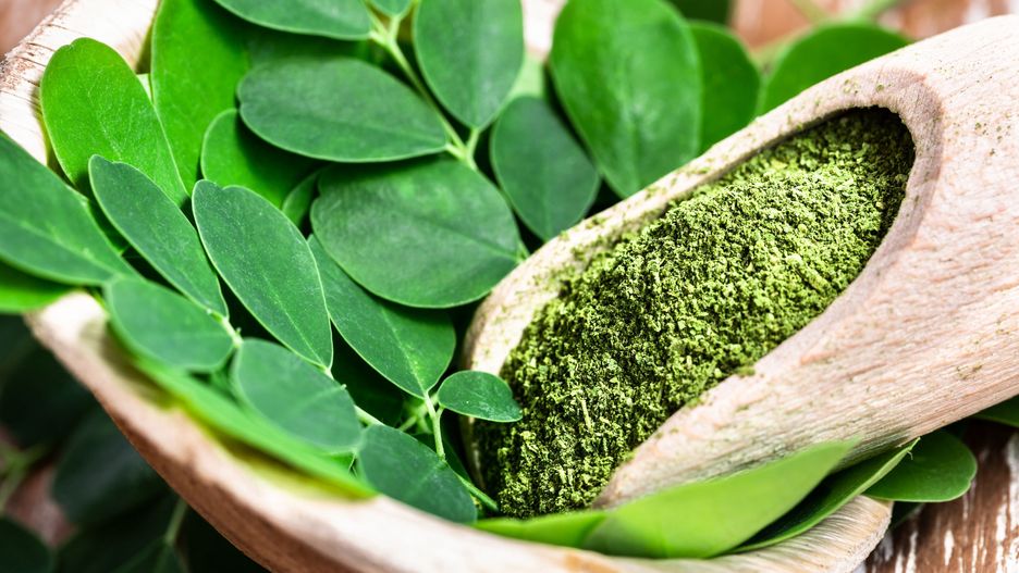 Moringa
