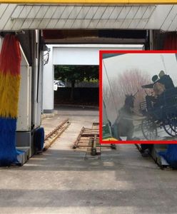 Myli konia na myjni. Policja namierzyła dwóch mężczyzn