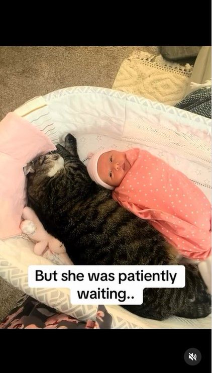 Przytulanie kotki i dziecka