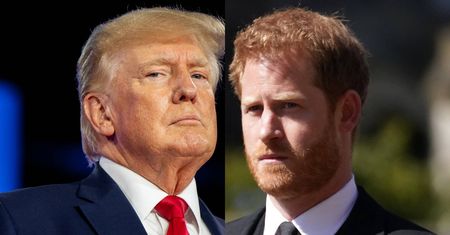 Co dalej z Harry'm w Stanach? Tak Trump mówił o jego wizie