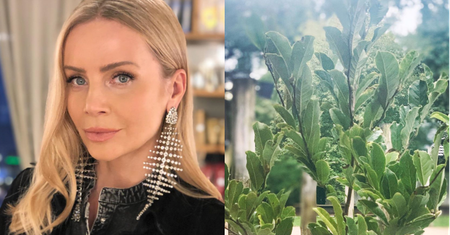 Agnieszka Woźniak-Starak na Instagramie: "Nie wstawię zdjęcia Piotrka, nie dam rady"