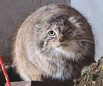 Szczęśliwy powrót. "Wygląda tak, jakby był na city breaku"