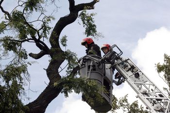 Trudne warunki pogodowe w Łódzkiem. Straż pożarna interweniowała już prawie 150 razy