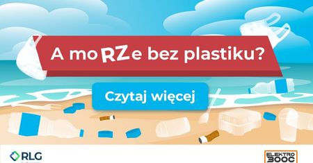Skąd śmieci na plażach? Wyniki badań