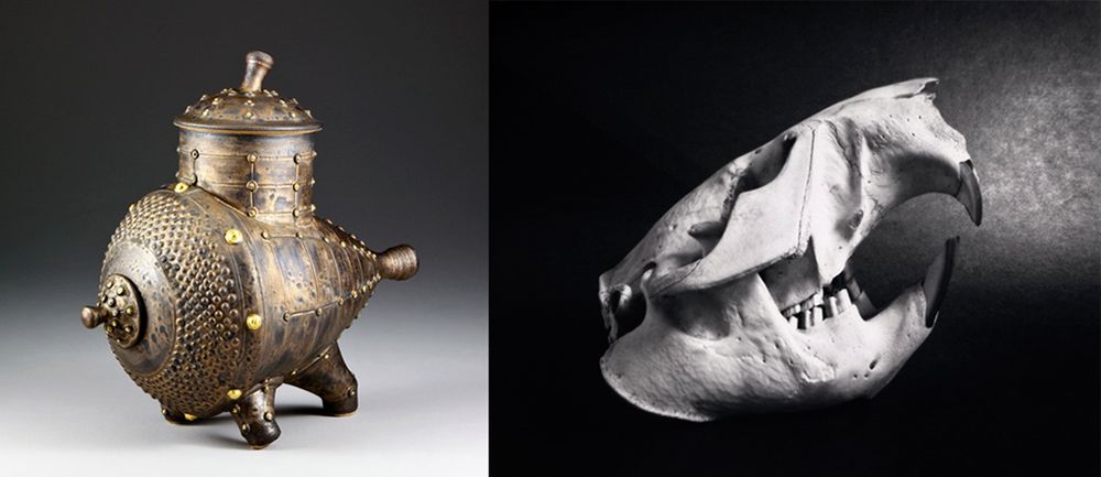 Steve Irvine i jego ceramiczne aparaty. To prawdziwe cuda! 5