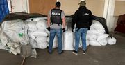Nielegalny tytoń za ponad 13 milionów. Akcja bydgoskiej policji i KAS