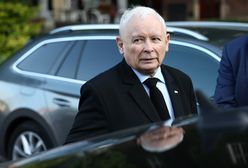 Nagle Kaczyński wypalił o lemurach. "Koniec z tym szaleństwem"