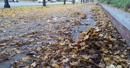 Mokre liście zalegają na chodnikach i ścieżkach rowerowych. Dochodzi do wielu niebezpiecznych sytuacji