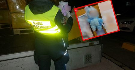 Zatrzymali busa. Funkcjonariusze przejęli tysiące podrobionych Labubu