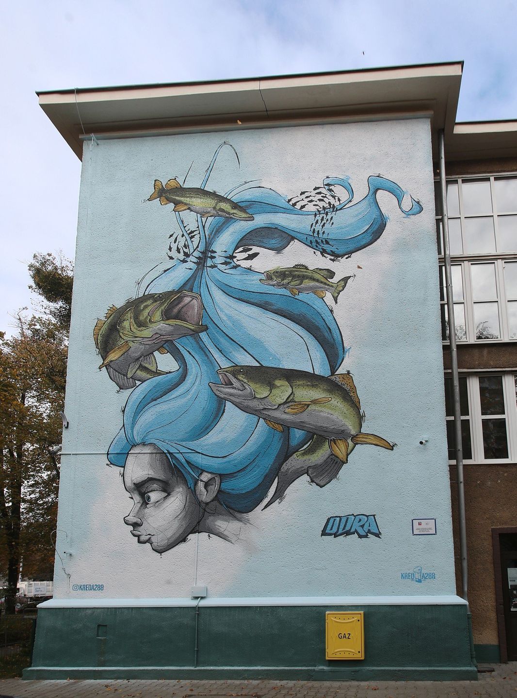 Efektowne murale na murach SP nr 46