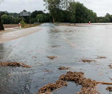 Ile będzie kosztować odbudowa? Są pierwsze szacunki