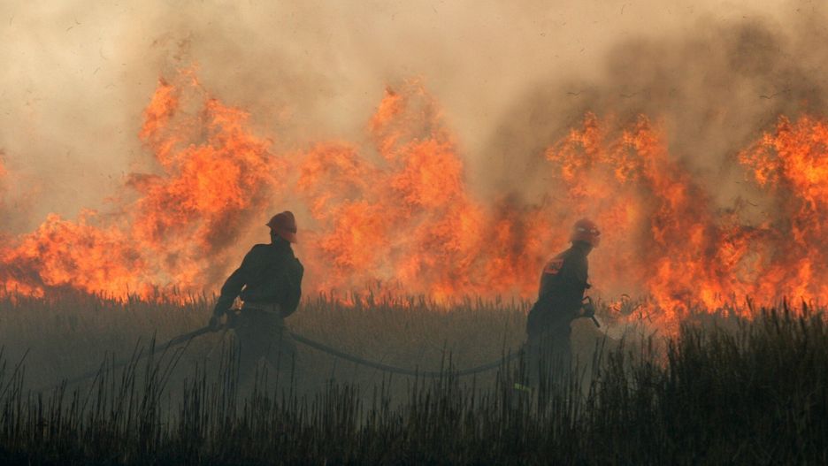 Ogromny pożar w Wielkopolsce. Płoną hektary zboża 