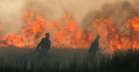Ogromny pożar w Wielkopolsce. Spłonęły hektary zboża