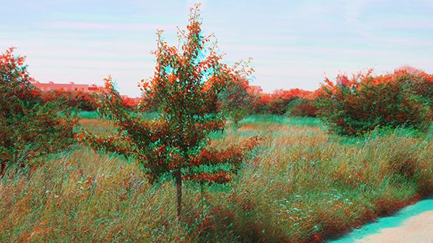 Jak stworzyć zdjęcia w 3D zwykłym aparatem? 1