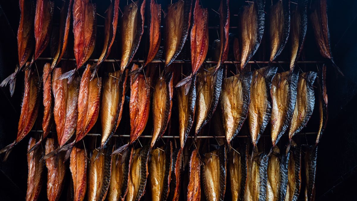 Smoking fish filets hanging side by side in a smoker. Cold smoked mackerel pieces for sale in fish marketSmoking fish filets hanging side by side in a smoker. Cold smoked mackerel pieces for sale in fish marketJa'Crispysmoking, smoked fish, smoking fish, cold smoke, hot smoke, cold smoked fish, filet, fish filet, smoked mackerel, golden