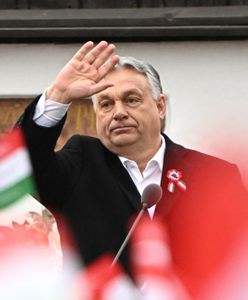 "Węgrzy chcą być gotowi". Ekspert nie pozostawia wątpliwości