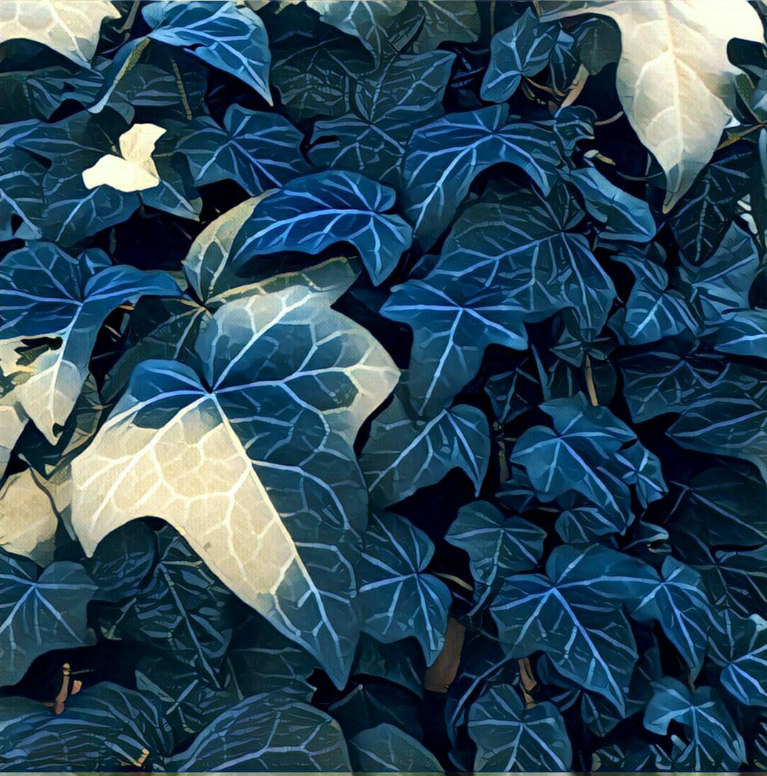 Prisma przynosi rewolucję również na Androidzie 3