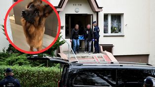 Cztery ciała na osiedlu w Kielcach. Diuna straciła dom. "Nie jest w stanie pojąć"