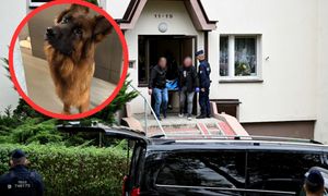 Cztery ciała na osiedlu w Kielcach. Diuna straciła dom. "Nie jest w stanie pojąć"