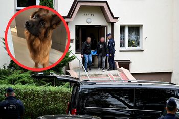 Cztery ciała na osiedlu w Kielcach. Diuna straciła dom. "Nie jest w stanie pojąć"