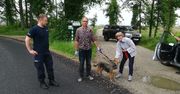 Mężczyzny szukano dwa dni. Pies bohaterem. Sprowadził pomoc