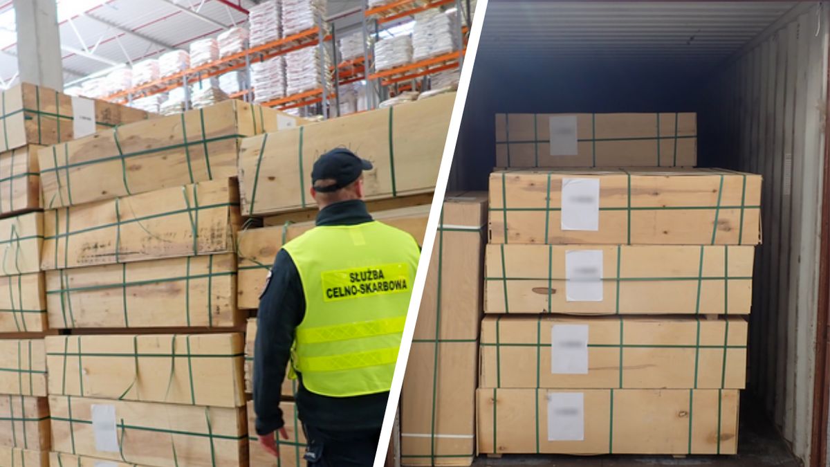 Służby przechwyciły sklejkę brzozową