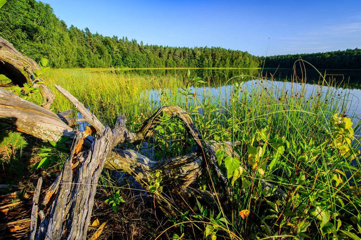 Jezioro Jasne (Czyste). Najbardziej przejrzyste jezioro w Polsce