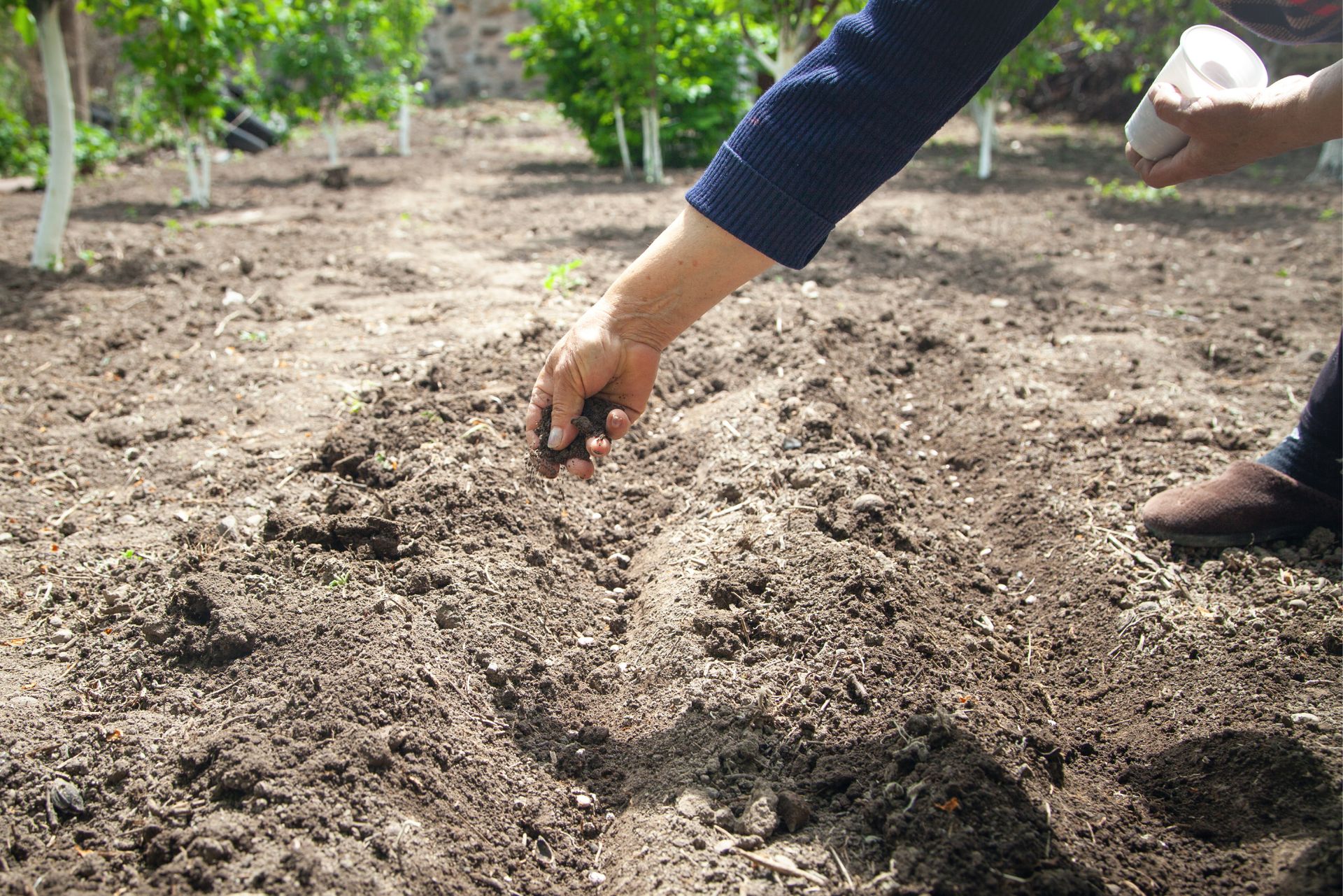 Jeżdżą po polach. Dewastują uprawy. Rolnicy są załamani