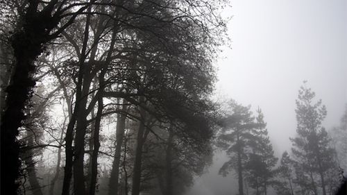 Przeziębienia sezonowe, czyli jak się chronić jesienią 1