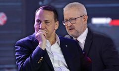 Sikorski ostro o AfD. Zacytował Ziemkiewicza