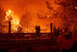 Kilkaset osób ewakuowanych i kilku rannych. Grecja walczy z pożarem