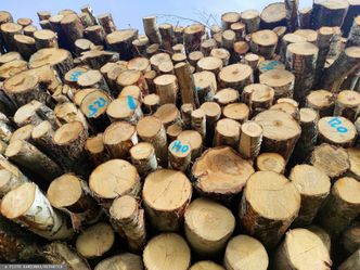 Nowe zasady palenia drewnem. Oto co się zmienia