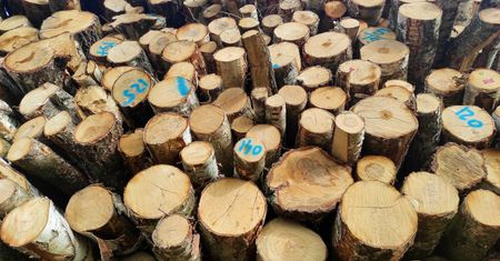 Nowe zasady palenia drewnem. Oto co się zmienia