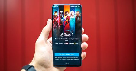 Nie dla nas kwitnie ananas. Na Disney+ trzeba będzie jeszcze długo poczekać